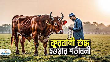 বাংলাদেশের জাতীয় সংগীত pdf