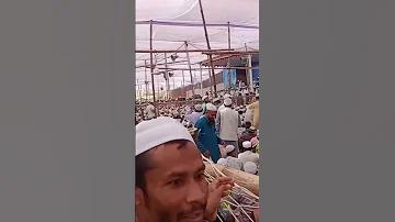পিন উপ ক্যাসিনো