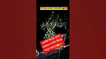 ভিডিও গেম খেলা কি হারাম
