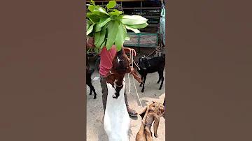 জীবন ও জীবিকা ৮ম শ্রেণি পৃষ্ঠা 58