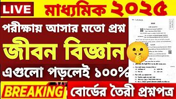 কাতার বিশ্বকাপ লাইভ সরাসরি