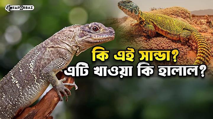 ক্যাসিনো কাণ্ডের মামলা গুলোর কী হাল - গ্রাম বাংলা
