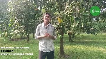 ফ্রি রিডিম কোড