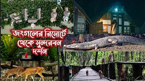 ৯১ মুরগি