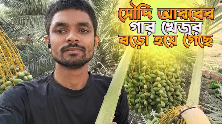 টাকা দিয়ে ভালোবাসা কেনা যায় না