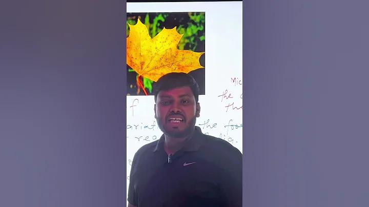 প্যান কিভাবে পড়তে হয়