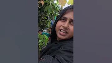 download baji app