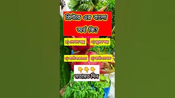 baji 365 biz