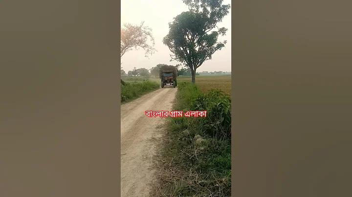 bj bai