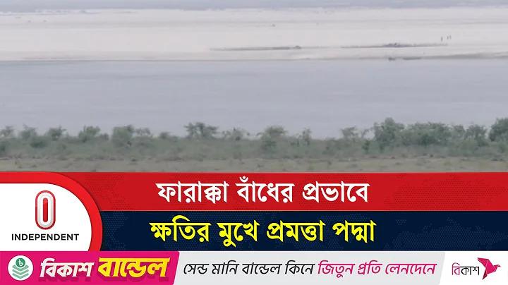 মধ্যবিত্ত শ্রেণীর উদ্ভব ও বিকাশ pdf