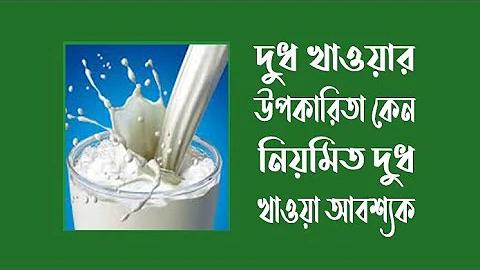 বরিশাল বনাম ঢাকা লাইভ স্কোর