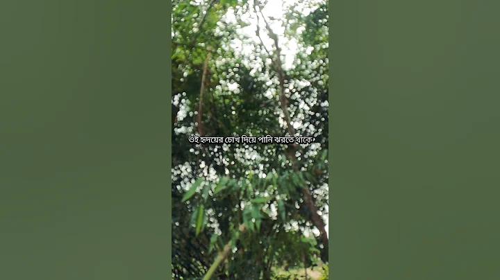 নবরুপা ফ্যাশন হাউজ বসুন্ধরা