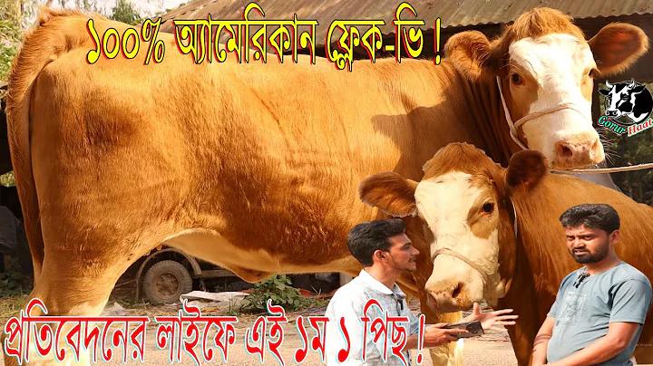 লরেন্স বিষ্ণোই কে
