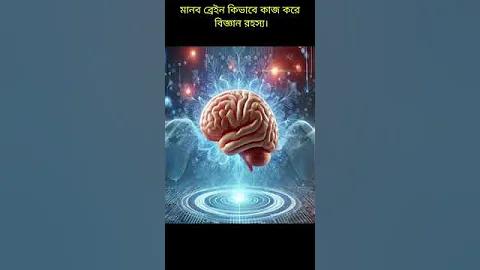 একলা জীবন অনেক ভালো রে বন্ধু