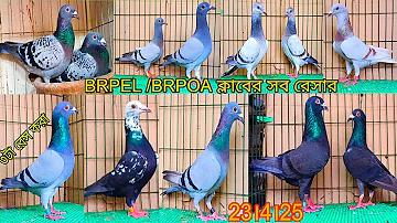 ওয়েব স্লট 777 নিবন্ধন করুন
