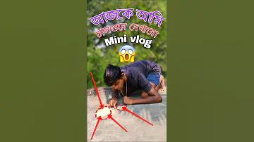 ২০২২ সালের বিশ্ব ফুটবলের ফল