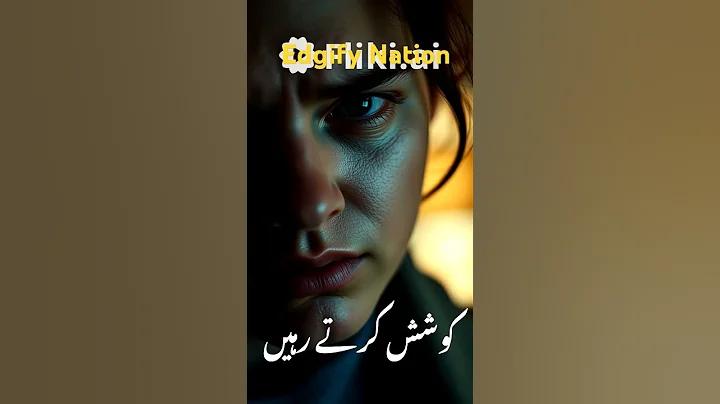 ওয়েব হুয়ে জমা নেই
