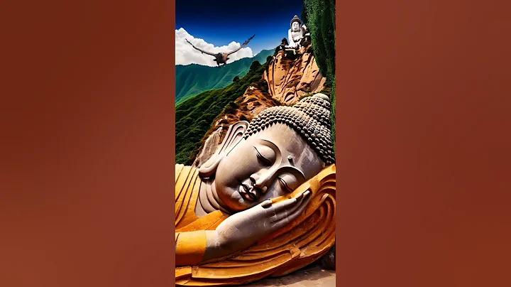 রকেট রেফার অফার