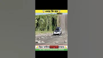পৰিৱেশ অধ্যয়ন ba 1st semester