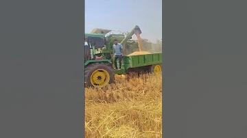ক্যাসিনো ব্যবসা