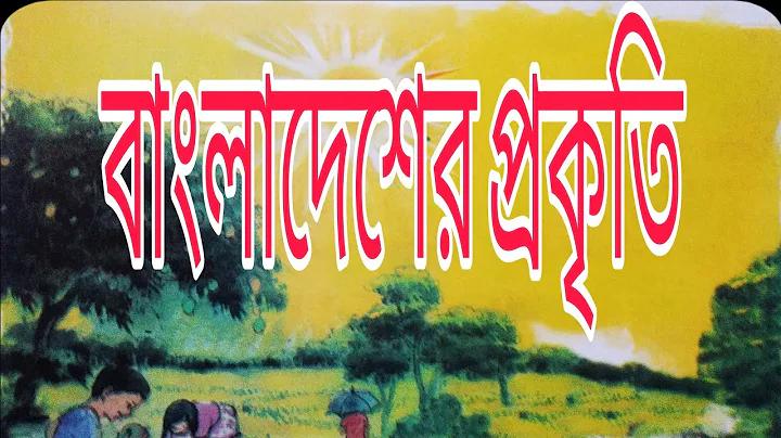 রেস্টুরেন্ট ভ্যাট