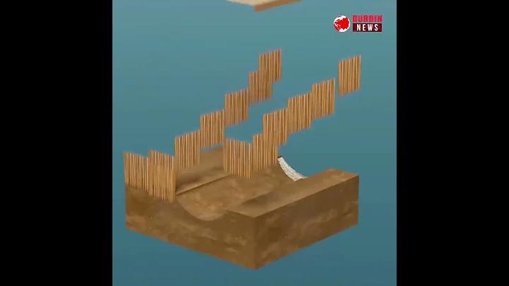 বিগো লাইভ