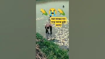 কয়েনবেস একাউন্ট লগইন