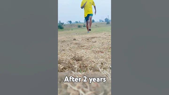 1xbet অ্যাপ ডাউনলোড
