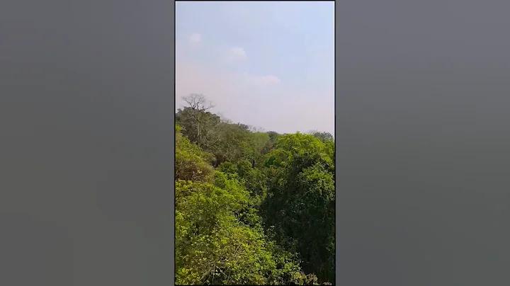 আর্জেন্টিনা বনাম ইতালি খেলার লাইভ