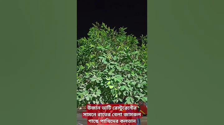 কানাডা কি ইউরোপ কান্ট্রি