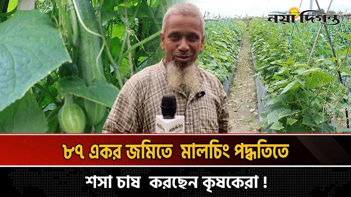 নিউজিল্যান্ড সাউথ আফ্রিকা লাইভ