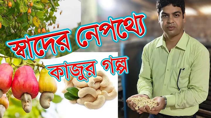 বাংলা বাজি