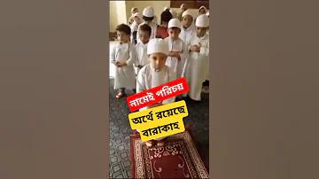 pg স্লট অল
