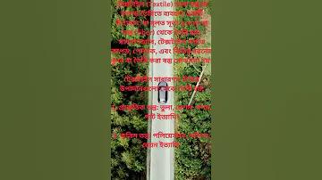 বাংলাদেশের উৎসব রচনা ২০ পয়েন্ট