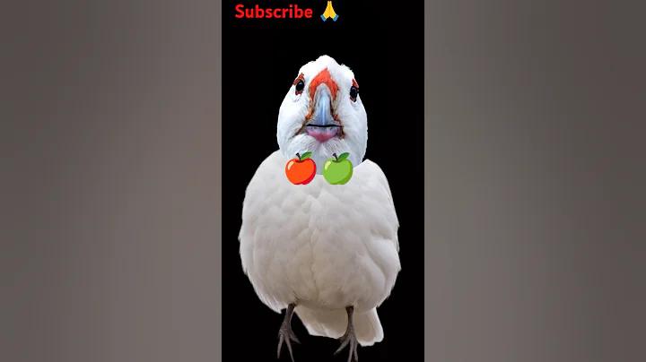 ঘটনা ঘটতে কতক্ষণ নাটক cast