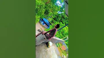 লালমনিরহাট কালীগঞ্জ থানার খবর