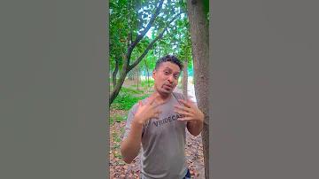 জোকার মুখোশ