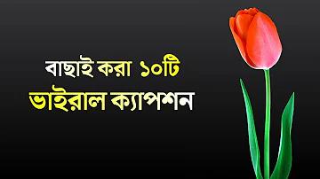 একজন মুমিনের চরিত্র কেমন হওয়া উচিত