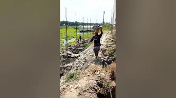 রীল থেকে আয় করুন