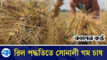 12 তম এর পরে হোটেল ম্যানেজমেন্ট কোর্স