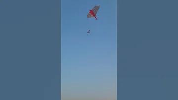 ক্রিকেট ব্যাটের মাপ কত