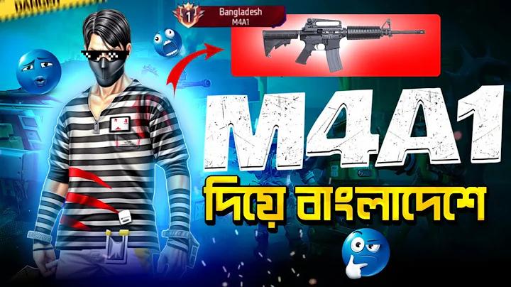 খোলা লাইভ