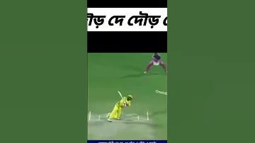 বিশ্ব যুব দিবস কবে
