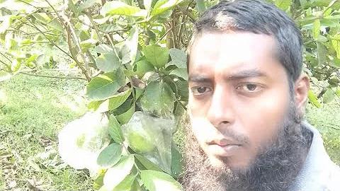 লাইভ বেকারি ব্যবসা
