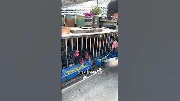 গ্রামের জীবন রচনা