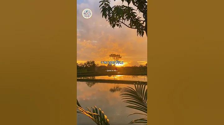 ক্রিকেট খেলার চাট