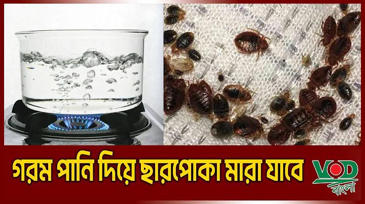 প্লে স্টোর ফ্রি ফায়ার অ্যাপ