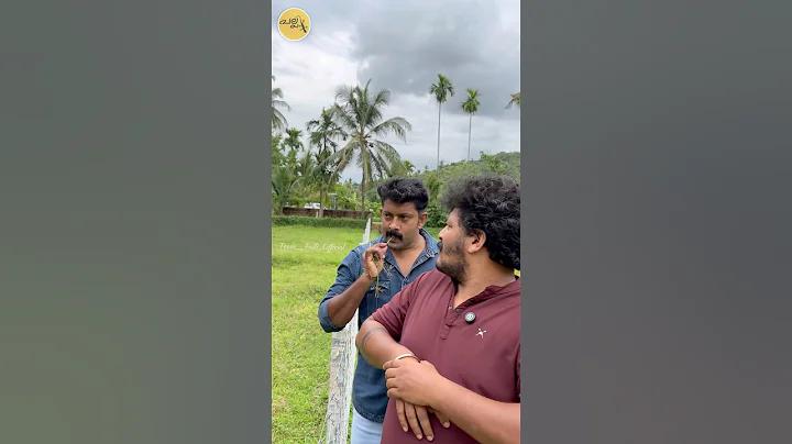 ও কলিজা ঐ কলিজা