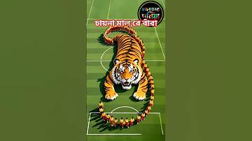 নিবন্ধ - crickex লগইন বাংলাদেশের সেরা ক্রিকেট বাজি ও ক্যাসিনো