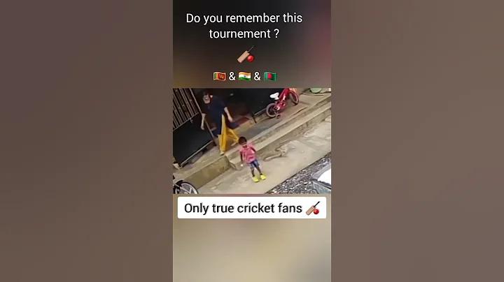 ক্রিকেট রেকর্ড